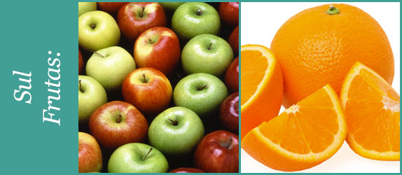 Nat alimentos Alimentos da estação inverno Sul Frutas